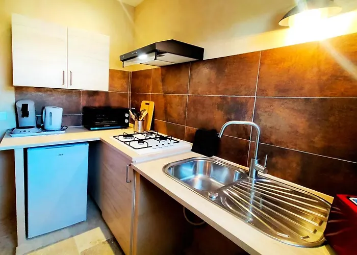 Mas Des Broussonnetiers Appartement Barjac (Gard)