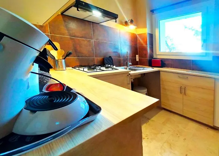 Mas Des Broussonnetiers *