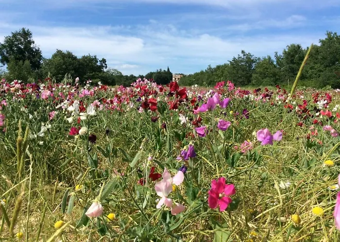 Mas Des Broussonnetiers Appartement